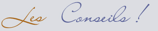 conseils guide mariage